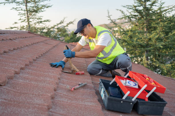 Best Sealant for Roof  in Glennville, GA